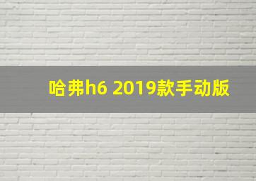 哈弗h6 2019款手动版